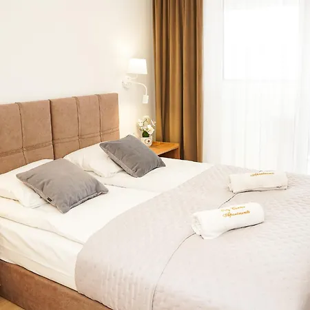 Cicha Premium - Garaz Gratis * Krynica-Zdrój