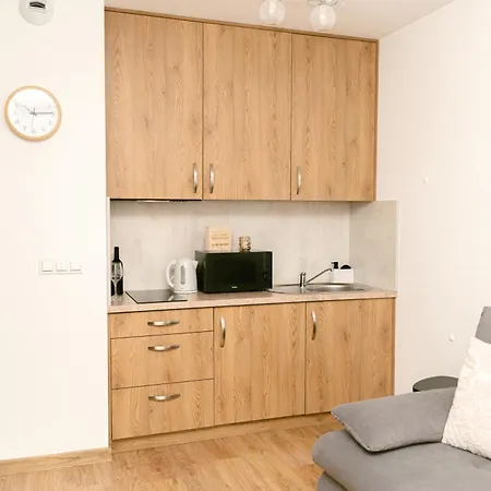 Cicha Premium - Garaz Gratis * Krynica-Zdrój